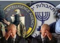 IT WAS ALL PLANNED: MASS BOMBINGS IN AFGHANISTAN, DAY AFTER CIA SECRET MEETING IN KABUL  (VIDEO 14  min)