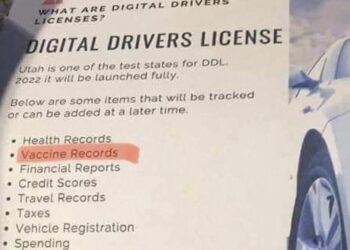 The New Digital Driver’s License Will Include Your Vaccine Status – May Eventually Include Your Credit Score, Travel Records and Social Credit Score (VIDEO)