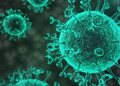 Dr. Carrie Madej – Covid mRNA Vaccines altering our DNA – and what is ‘Luciferase’