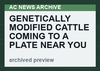 Genetically Modified Cattle Coming To A Plate Near You