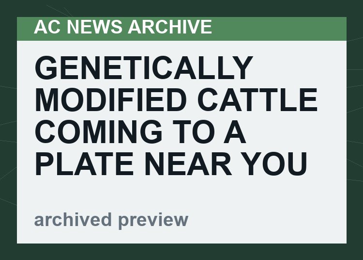 Genetically Modified Cattle Coming To A Plate Near You