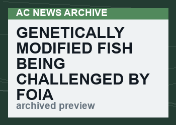 Genetically Modified Fish Being Challenged By FOIA Request