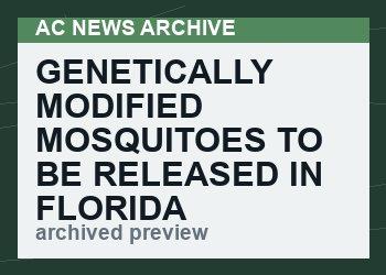 Genetically Modified Mosquitoes To Be Released In Florida And California