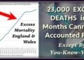 The 23,000 Unexplained Deaths in England and Wales That Raise Serious Questions of Vaccine Safety