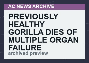 Previously healthy gorilla dies of multiple organ failure following covid vaccination